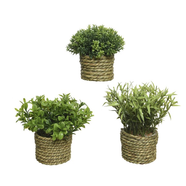 Maceta de planta verde ø16 x 13 cm, modelos variados